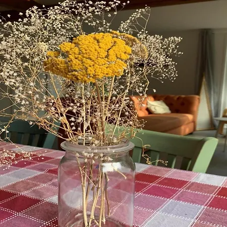 Renovated With Garden For Families Sint Maartensvlotbrug