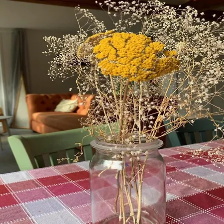 Дом отдыха Renovated With Garden For Families Sint Maartensvlotbrug