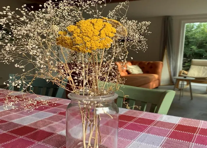 Renovated With Garden For Families Sint Maartensvlotbrug