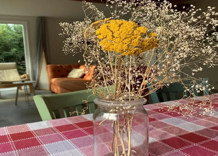 度假居 Renovated With Garden For Families Sint Maartensvlotbrug